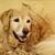 Barbara Weilbacher's profile image