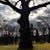 Thaeda Jackson Franz's profile image