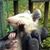 Ken Miller's profile image