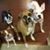 Terry N Marilyn Sether's profile image
