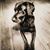 Dennis Mingyar's profile image