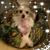 Sherrie Thibodeaux's profile image