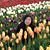 Eden Weyand-Campos's profile image