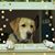 Ila Stair Morin's profile image