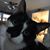 Ginny Houseman's profile image
