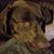 Carl Thrasher's profile image