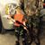 Randy Hillyer's profile image