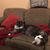 Beth Steenbergh's profile image