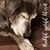Tracy Dykstra's profile image