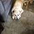 Bekki Merklin's profile image