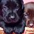 Terry Basye's profile image