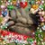 Gioia Kerlin's profile image