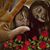 Jenny Williamson's profile image