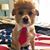 Lisa Race Herrmann's profile image