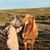 Patricia Ho Swartz's profile image