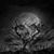Sandi Marchant's profile image