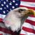 Harvey Siliski's profile image