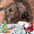 Dee Cusick's profile image