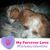 Renee Scurlock's profile image