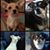 Lu Ann Beauchemin's profile image
