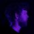 Dean Anshutz's profile image