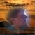 Janice AJ Bilbrey's profile image