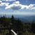 Darlene Peck Lenhart's profile image