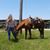 Brenda Sanders's profile image
