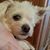 Lisa Reeder Bush's profile image