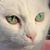Danae Scott's profile image