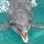 Vicki Looney's profile image
