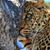 Ronda Braswell Burgess's profile image