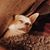 Jordan Graybill's profile image