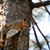 Susan J. MacDonald's profile image
