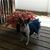 Nancy Pingitore's profile image