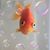 Trisha Daberkow's profile image