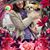 Candy Abbruzzese's profile image