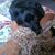 Linda Cunningham's profile image
