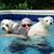 Babs Wade's profile image