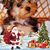 Roberta Seybert's profile image