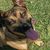 Aggie Miller Westendorf's profile image