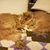 Patricia Gloster's profile image