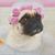 Sondra Raines Brooks's profile image