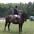 Kathy King's profile image