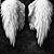 Shannon Benge's profile image