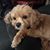 Katy Baatz Coleman's profile image