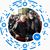 David Martin's profile image