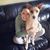 Nicole Rachel McCool's profile image