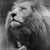 Elizabeth Walker's profile image