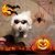 Patty Thrift's profile image